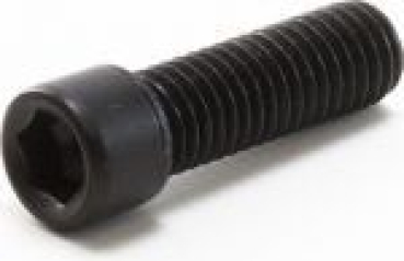 Clamp Bolt 8 x 20mm Blunt